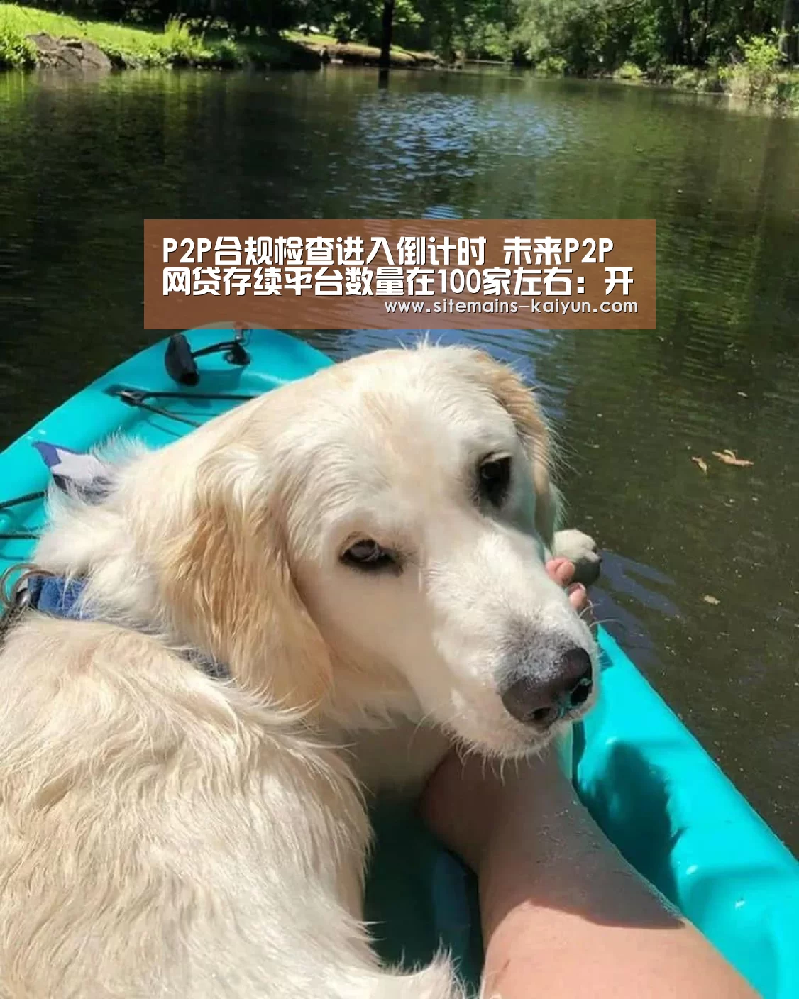 P2P合规检查进入倒计时 未来P2P网贷存续平台数量在100家左右:开云(图2) 开云