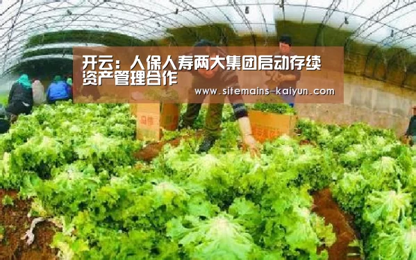 开云:人保人寿两大集团启动存续资产管理合作(图4) Kaiyun官网入口 - 首页通道