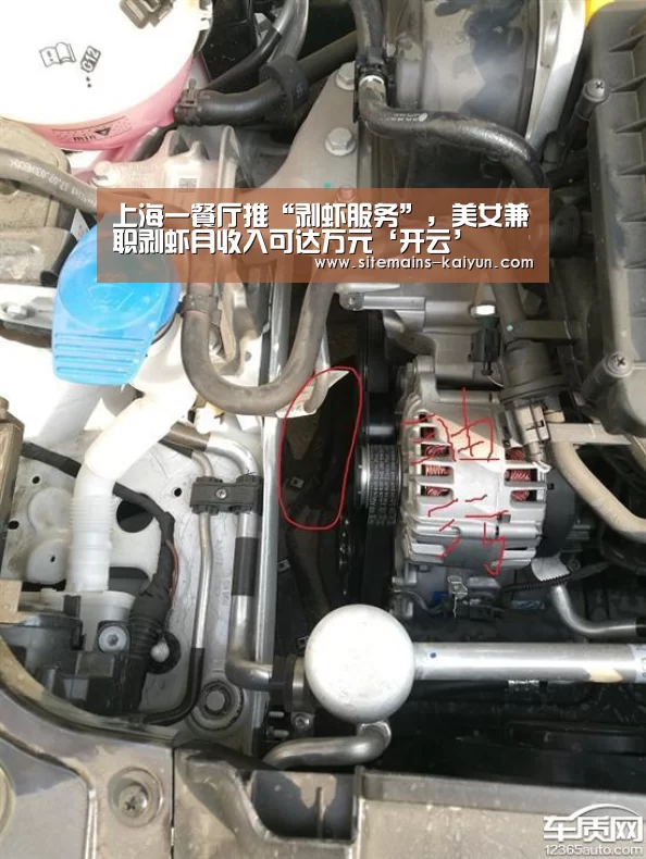 开云