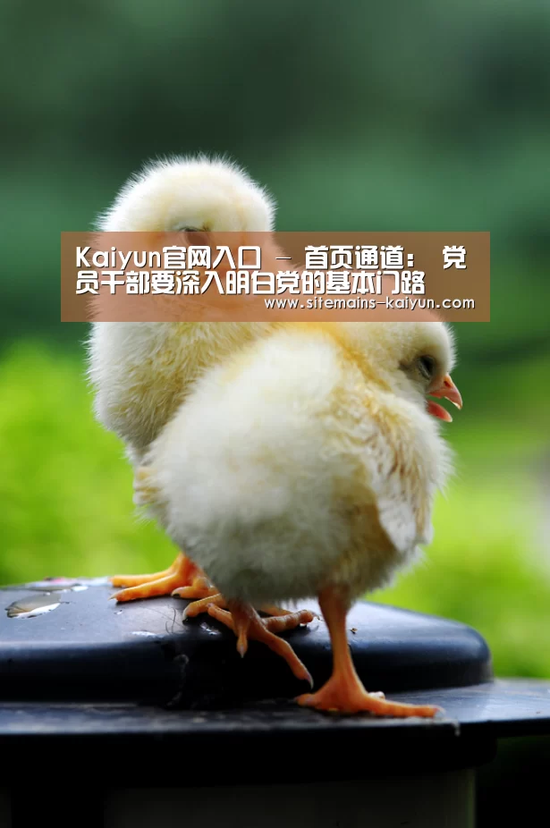 开云