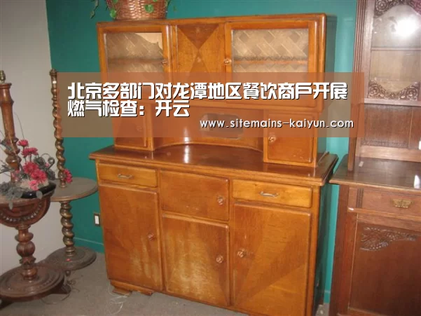 北京多部门对龙潭地区餐饮商户开展燃气检查:开云(图3) Kaiyun官网入口 - 首页通道